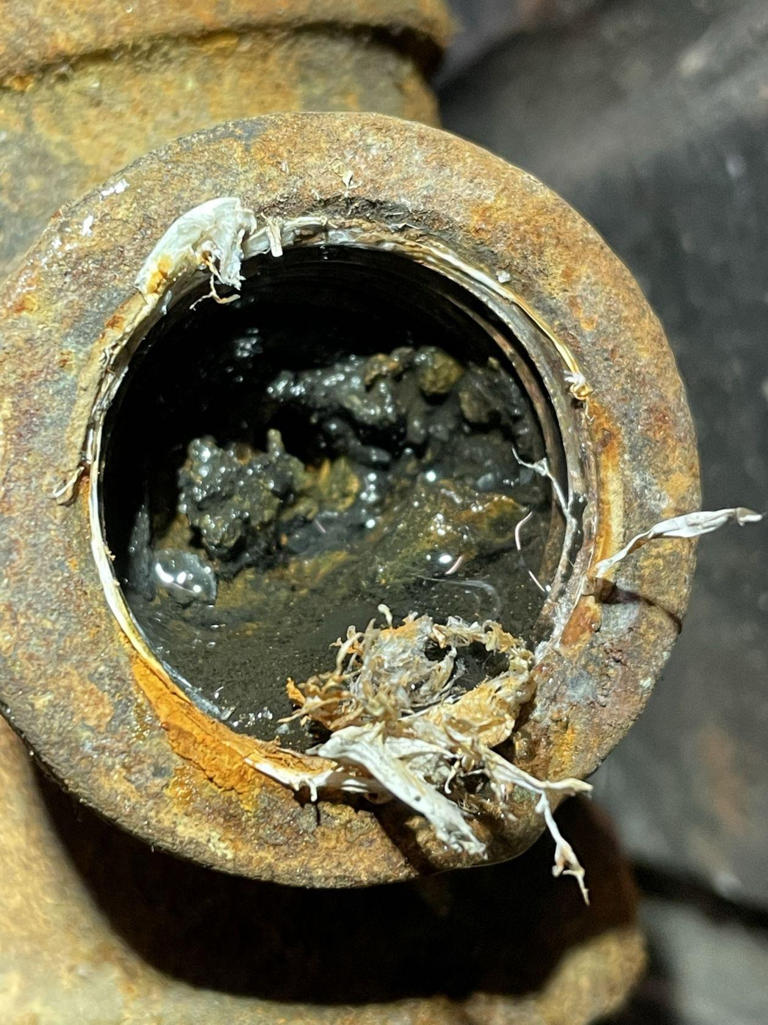 JDM Plumbing Services Toronto