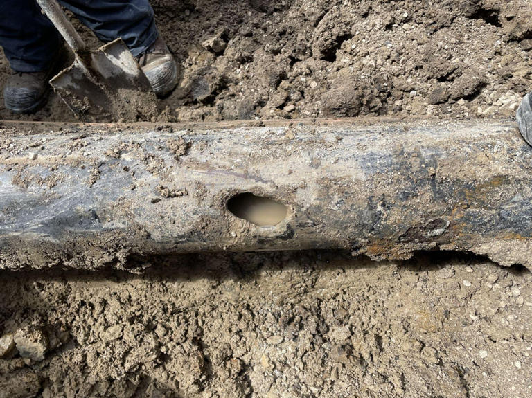 Project Markham July 2022