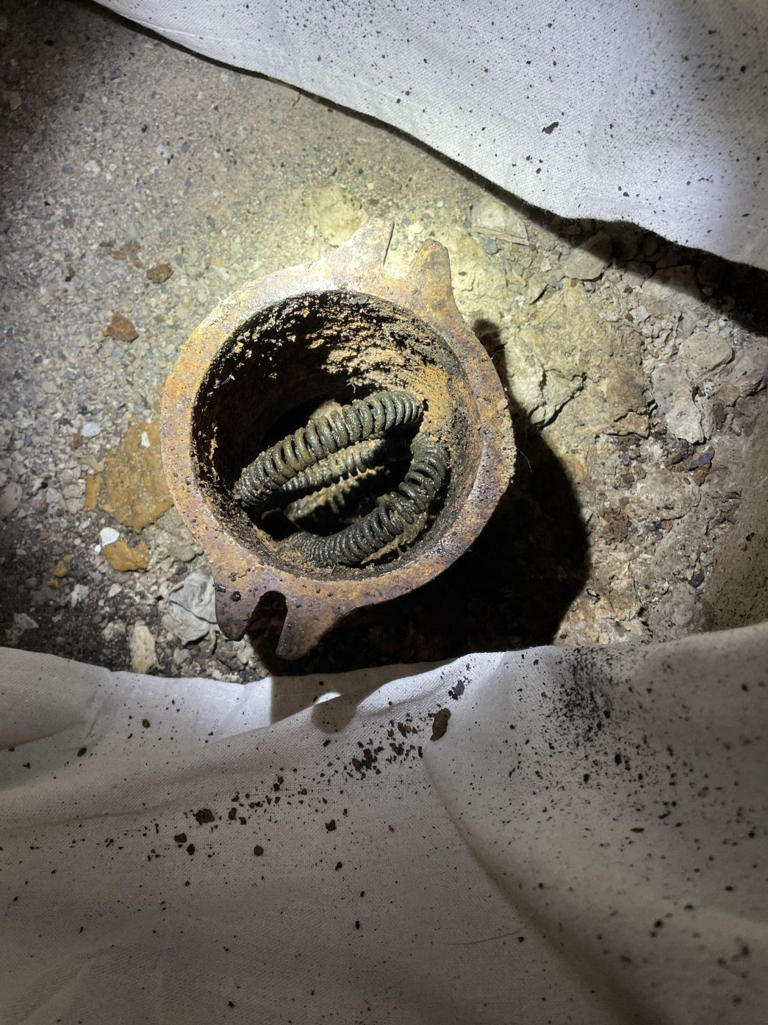 Project Markham July 2022