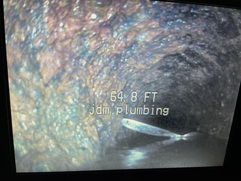 Project Markham July 2022